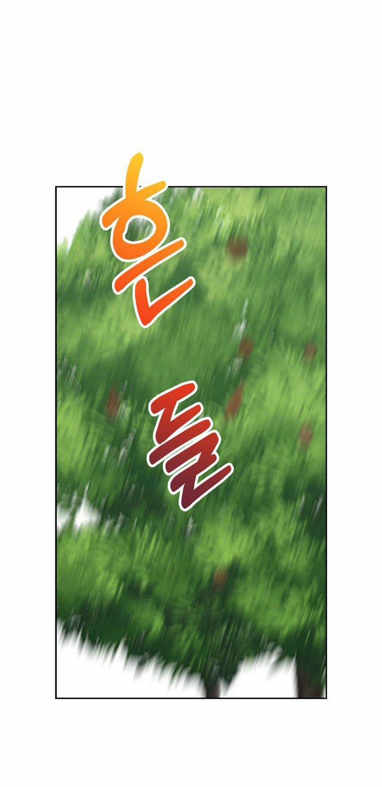 Công Chúa Ngoài Giá Thú 13 trang 25