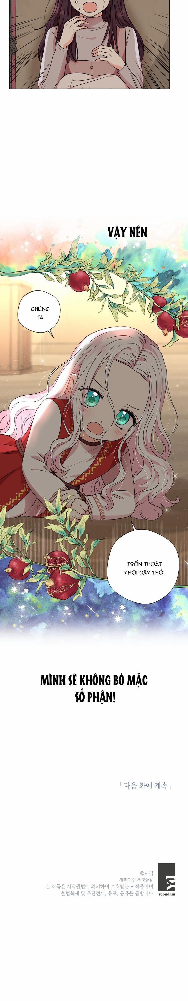 Công Chúa Ngoài Giá Thú 19 trang 5