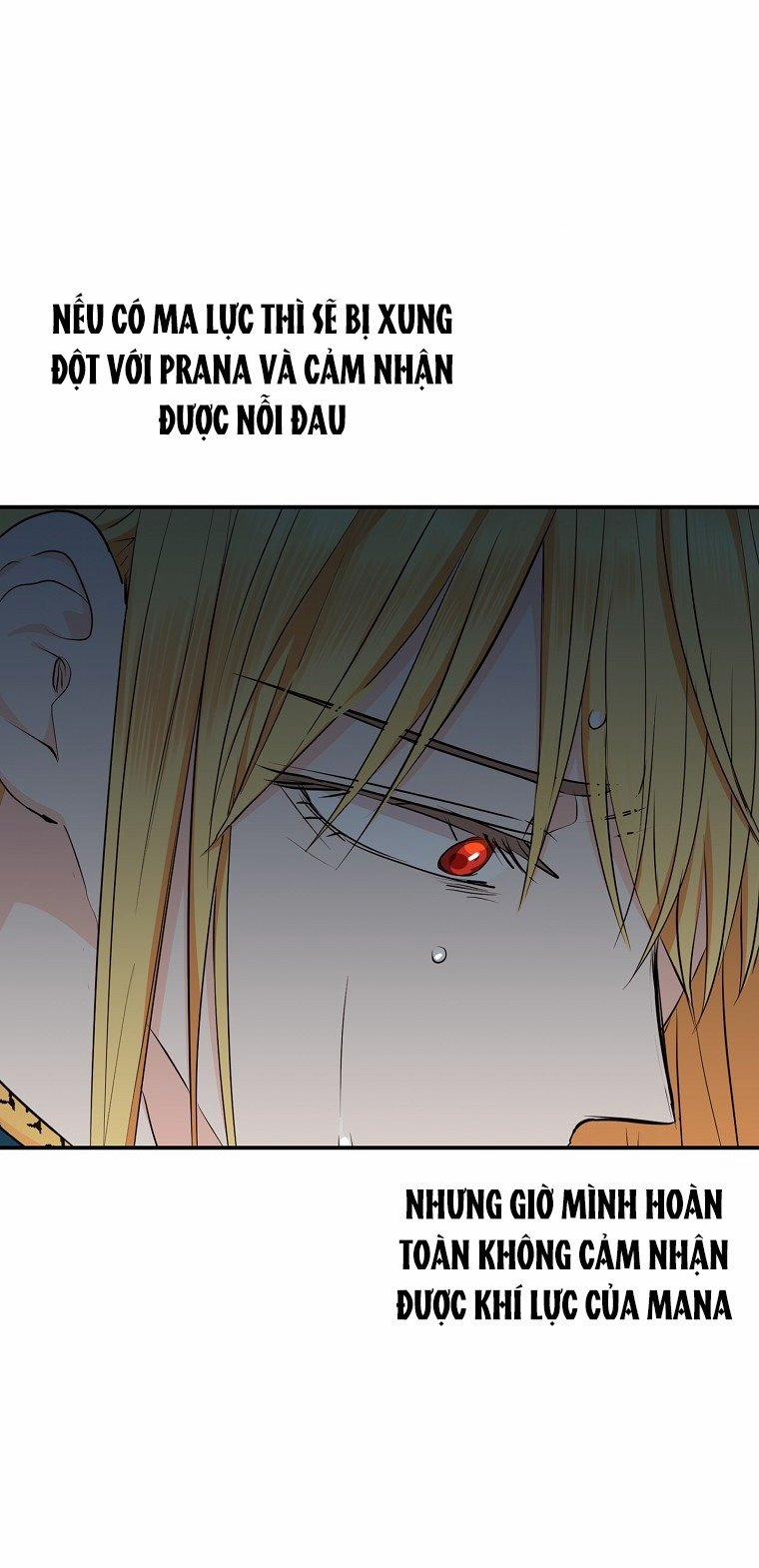 Công Chúa Ngoài Giá Thú 75 trang 2