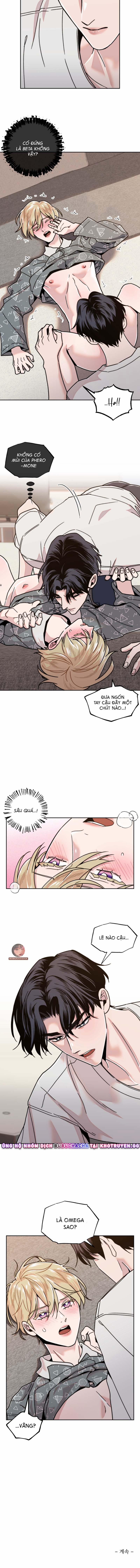 Công Chúa Nhà Hàng Xóm 8 trang 3