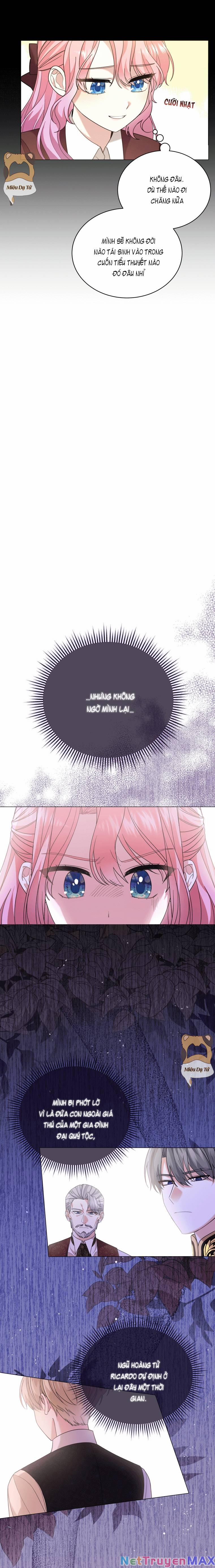 Công Chúa Nhỏ Chờ Được Hủy Hôn 2 trang 3