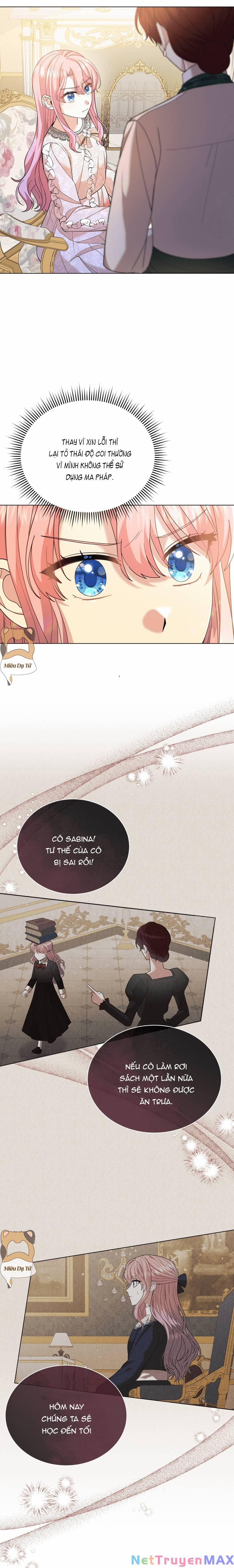 Công Chúa Nhỏ Chờ Được Hủy Hôn 3 trang 3