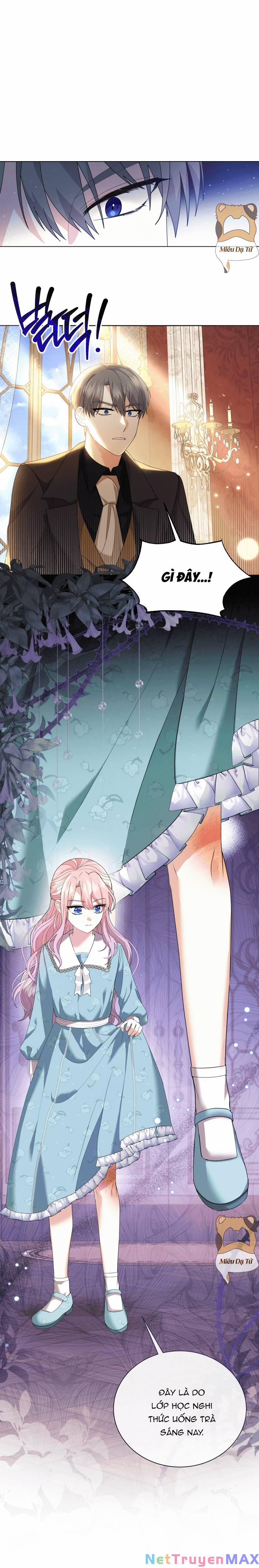 Công Chúa Nhỏ Chờ Được Hủy Hôn 4 trang 8