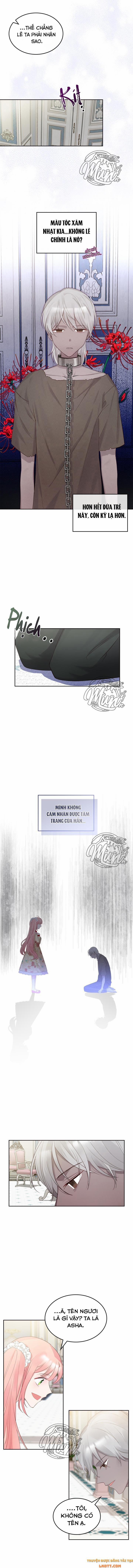 Công Chúa Phản Diện Muốn Sống Trong Cửa Hàng Bánh Ngọt 31 trang 5