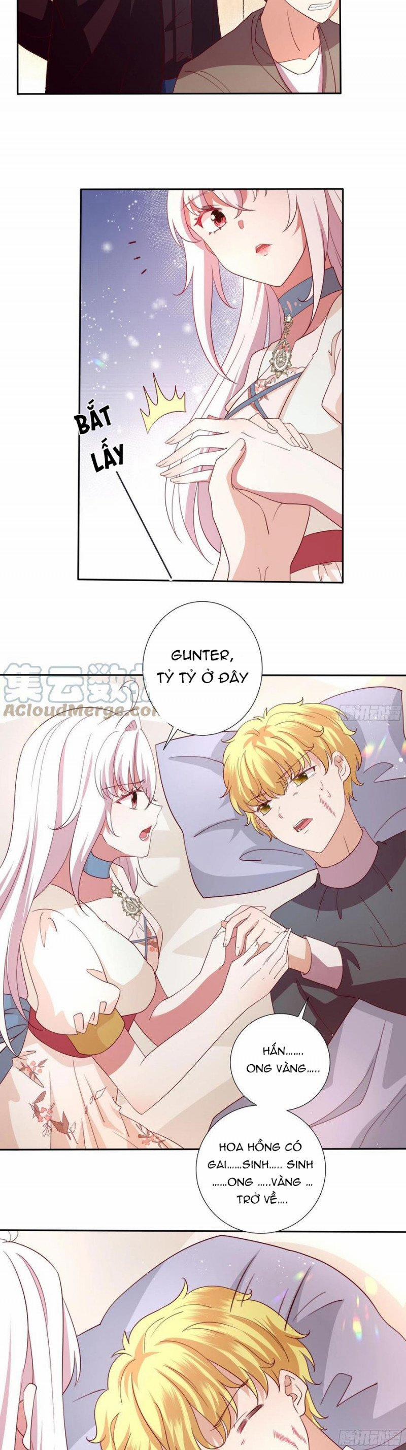 Công Chúa Phản Diện Trong Truyền Thuyết 117 trang 5