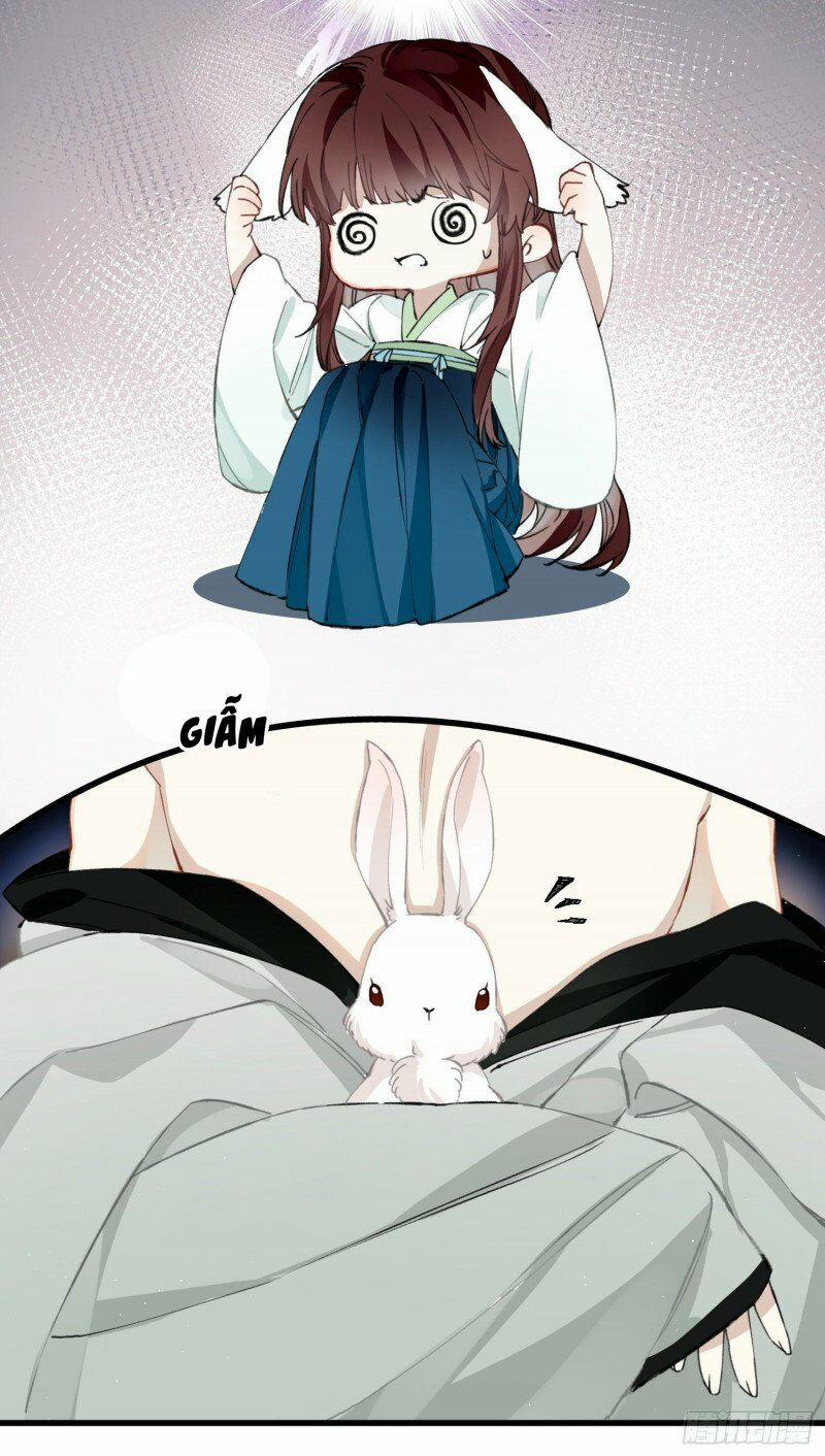 Công Chúa Pháo Hôi Muốn Tùy Tiện Đến Cùng 28 trang 12