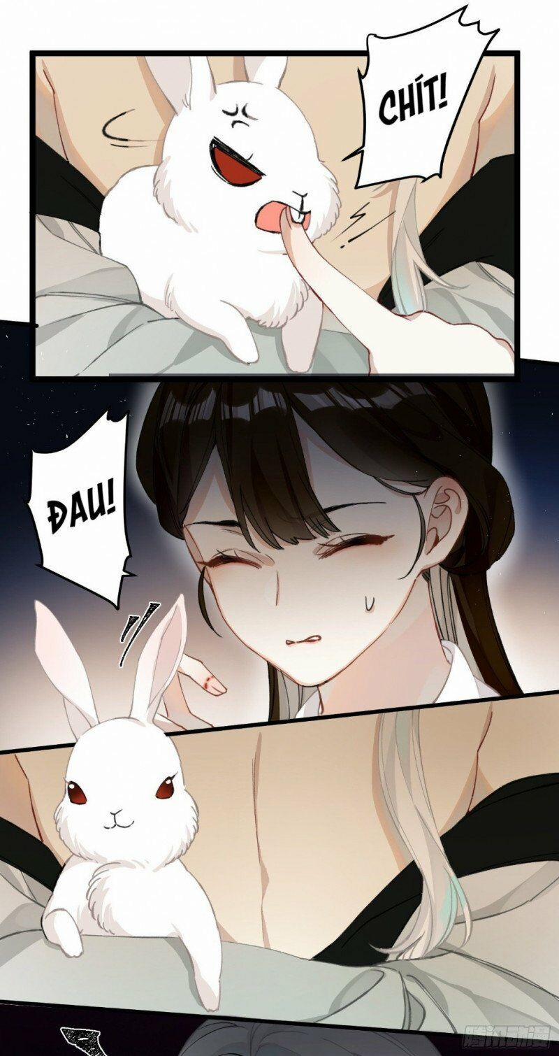 Công Chúa Pháo Hôi Muốn Tùy Tiện Đến Cùng 28 trang 17