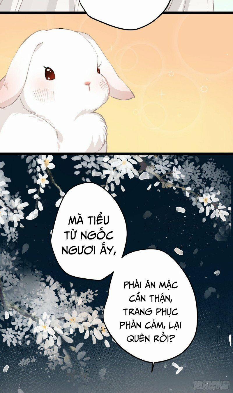 Công Chúa Pháo Hôi Muốn Tùy Tiện Đến Cùng 28 trang 22