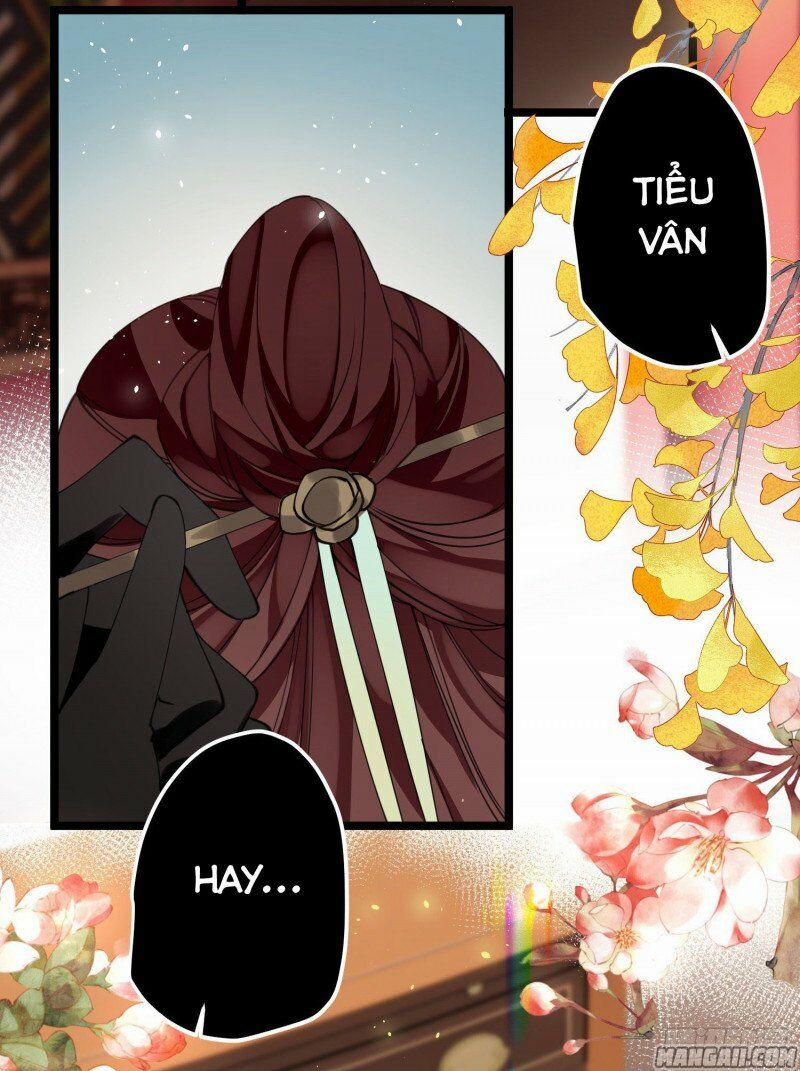 Công Chúa Pháo Hôi Muốn Tùy Tiện Đến Cùng 31 trang 15