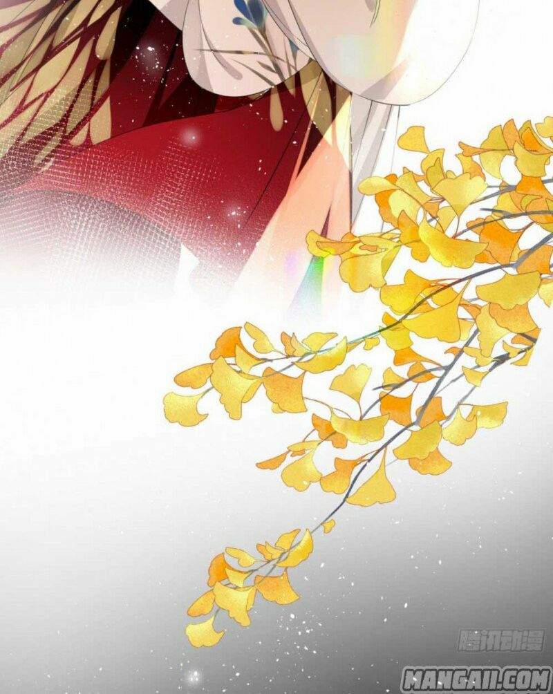 Công Chúa Pháo Hôi Muốn Tùy Tiện Đến Cùng 36 trang 4