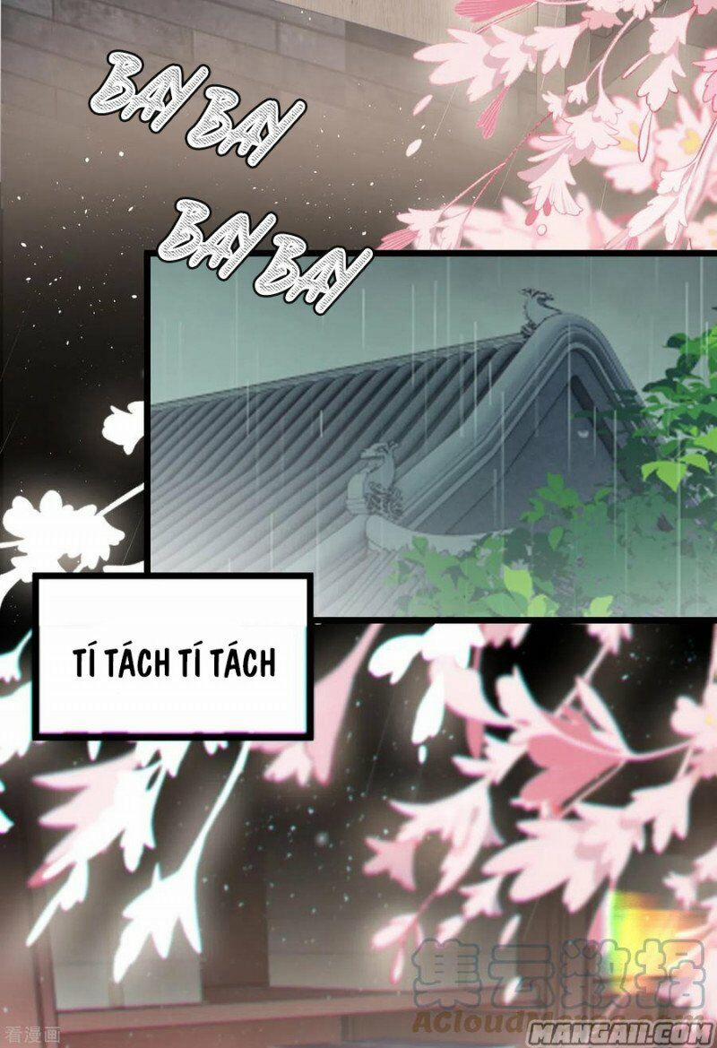 Công Chúa Pháo Hôi Muốn Tùy Tiện Đến Cùng 60 trang 6