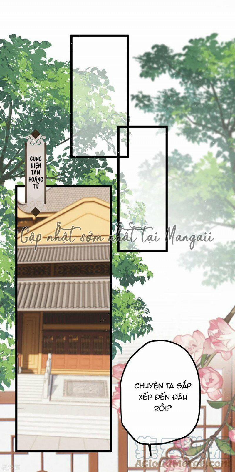 Công Chúa Pháo Hôi Muốn Tùy Tiện Đến Cùng 61 trang 11