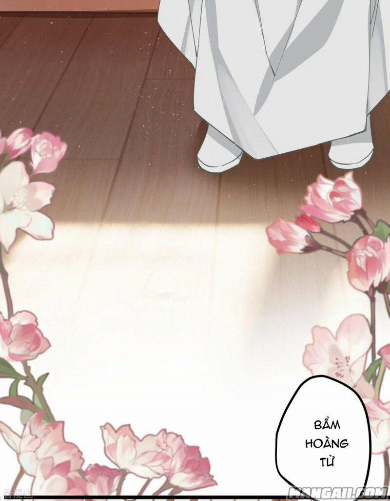 Công Chúa Pháo Hôi Muốn Tùy Tiện Đến Cùng 61 trang 13