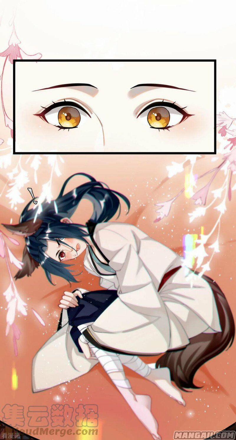 Công Chúa Pháo Hôi Muốn Tùy Tiện Đến Cùng 62 trang 12