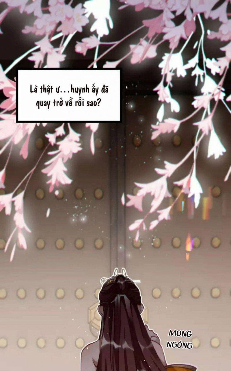 Công Chúa Pháo Hôi Muốn Tùy Tiện Đến Cùng 66 trang 0