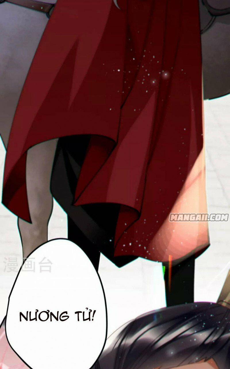 Công Chúa Pháo Hôi Muốn Tùy Tiện Đến Cùng 66 trang 5