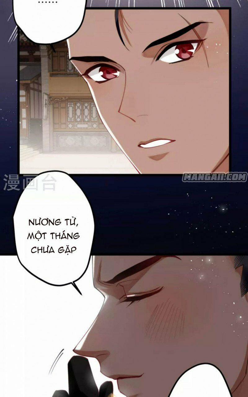 Công Chúa Pháo Hôi Muốn Tùy Tiện Đến Cùng 66 trang 9