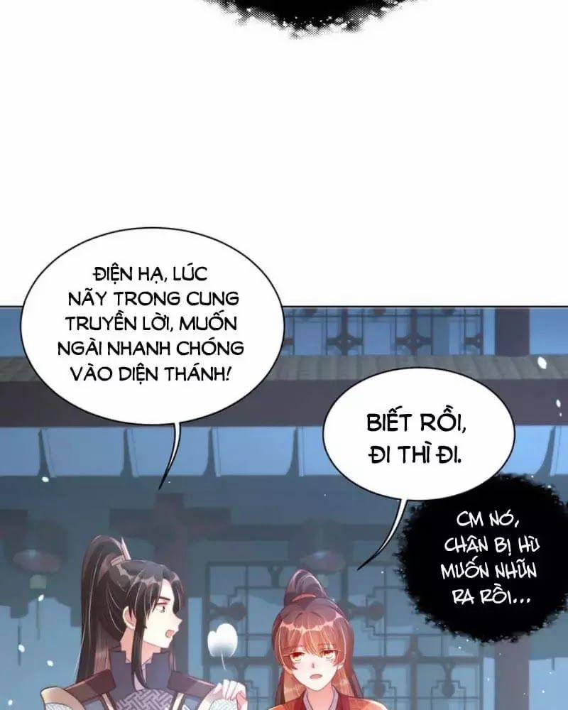 Công Chúa Tại Thượng: Quốc Sư Mời Xuống Kiệu 28 trang 7