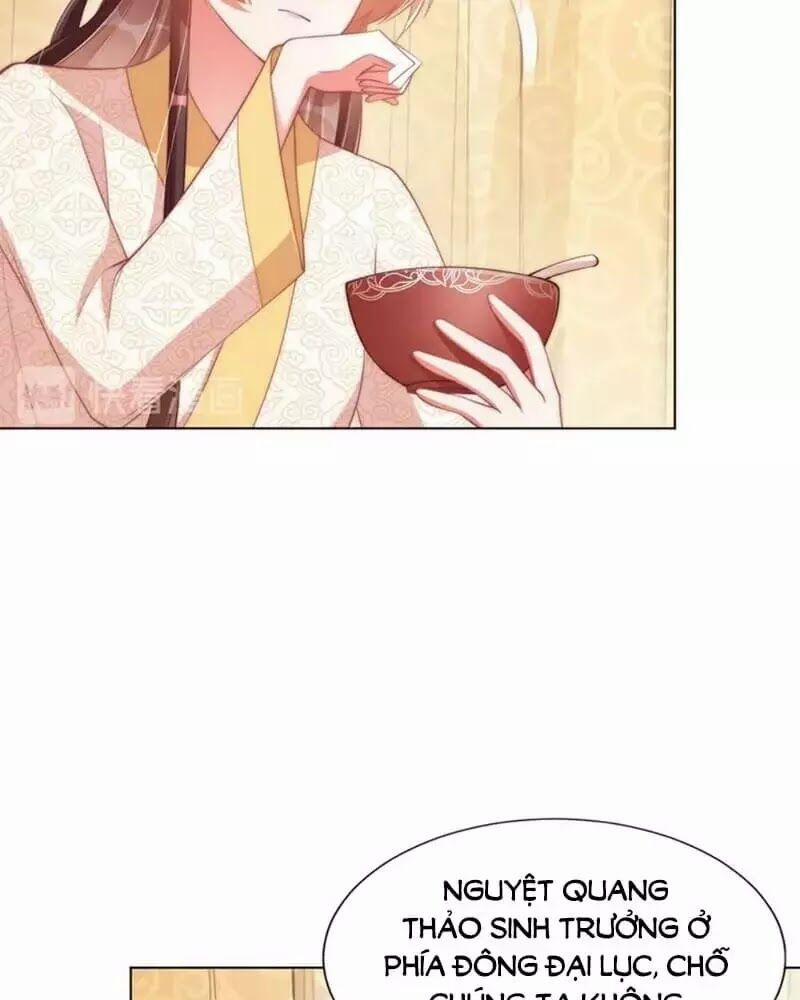 Công Chúa Tại Thượng: Quốc Sư Mời Xuống Kiệu 33 trang 26