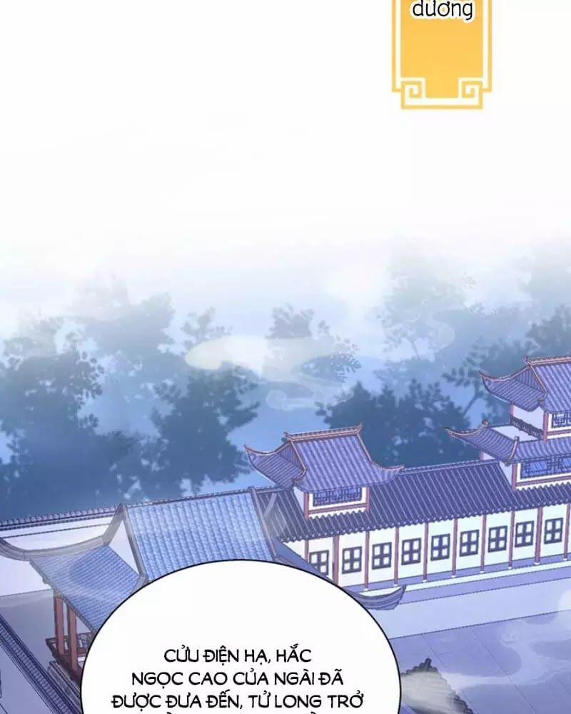 Công Chúa Tại Thượng: Quốc Sư Mời Xuống Kiệu 8 trang 33