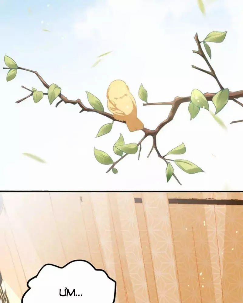 Công Chúa Tại Thượng: Quốc Sư Mời Xuống Kiệu 8 trang 7