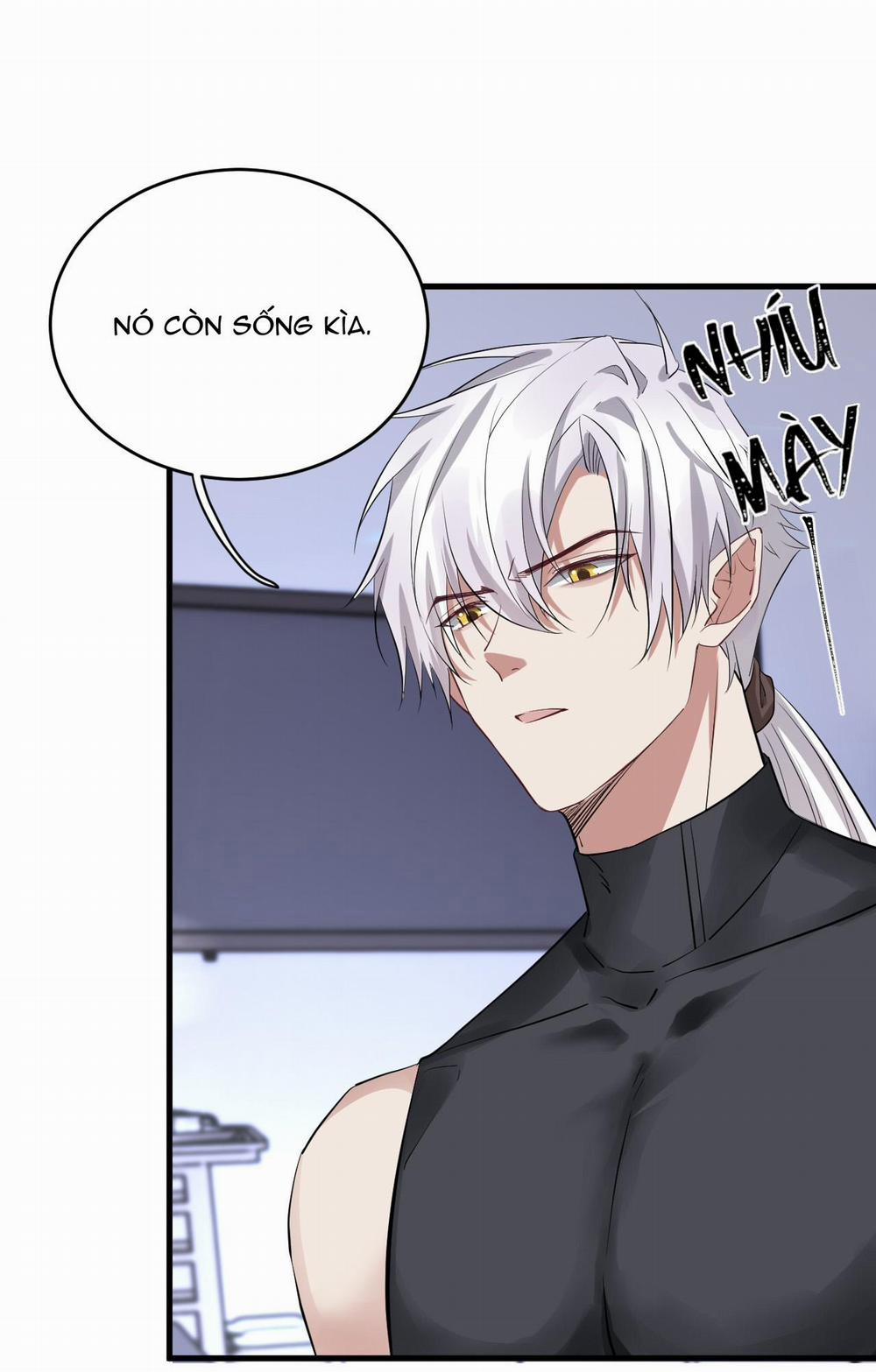 Cổng Homer 27 trang 17