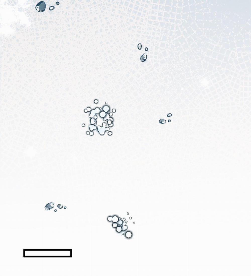 Cổng Homer 27 trang 32