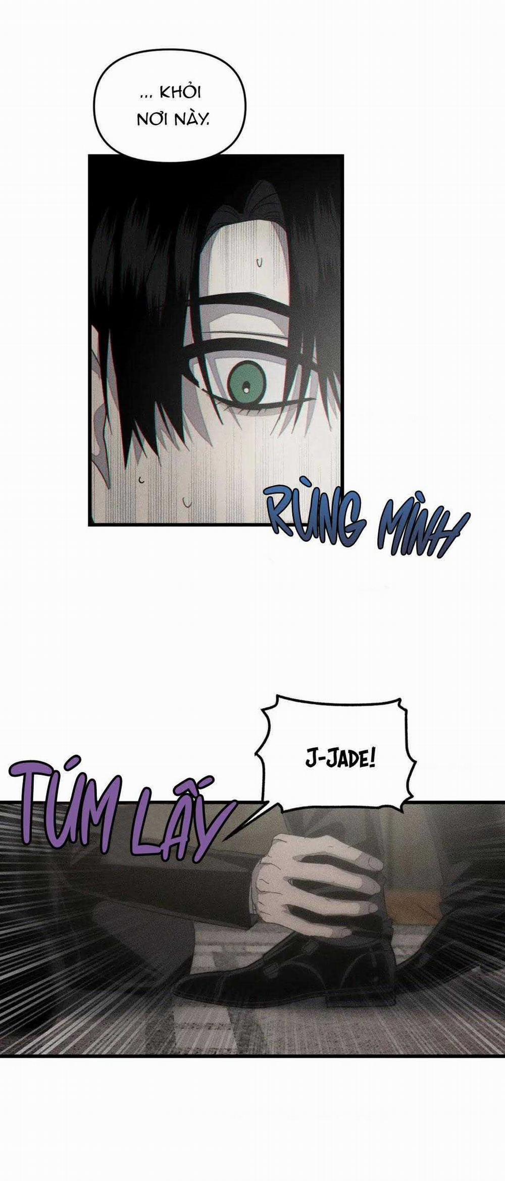 Công Lập Left Fluke 16 trang 12