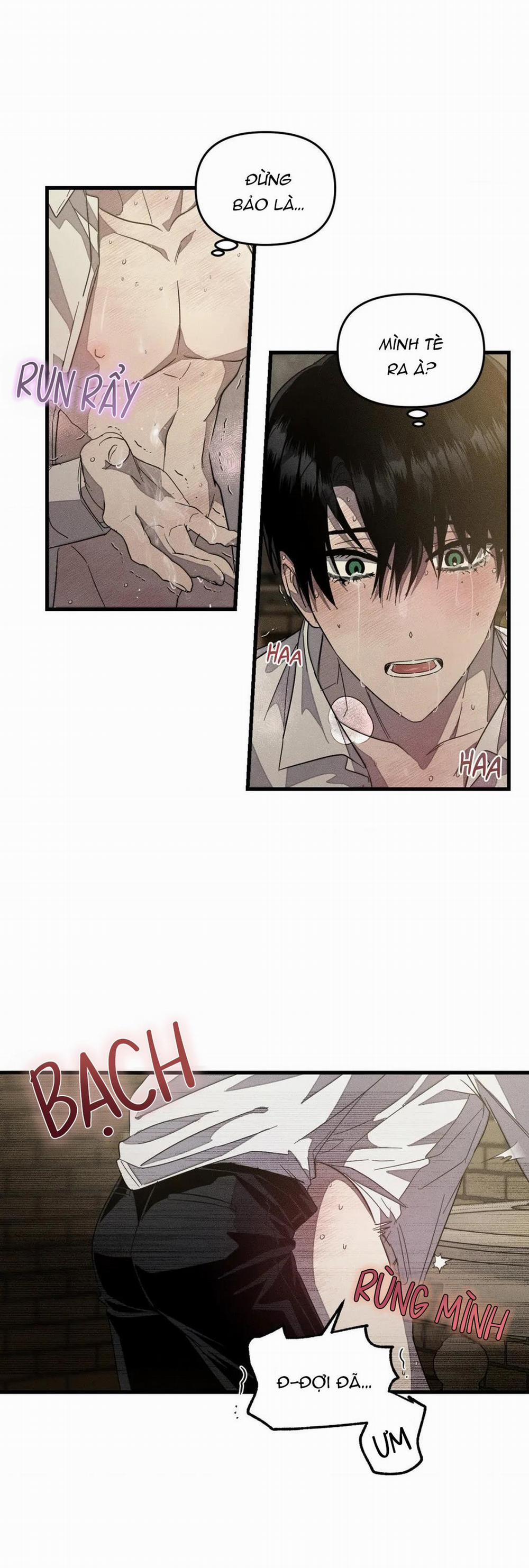 Công Lập Left Fluke 21 trang 1