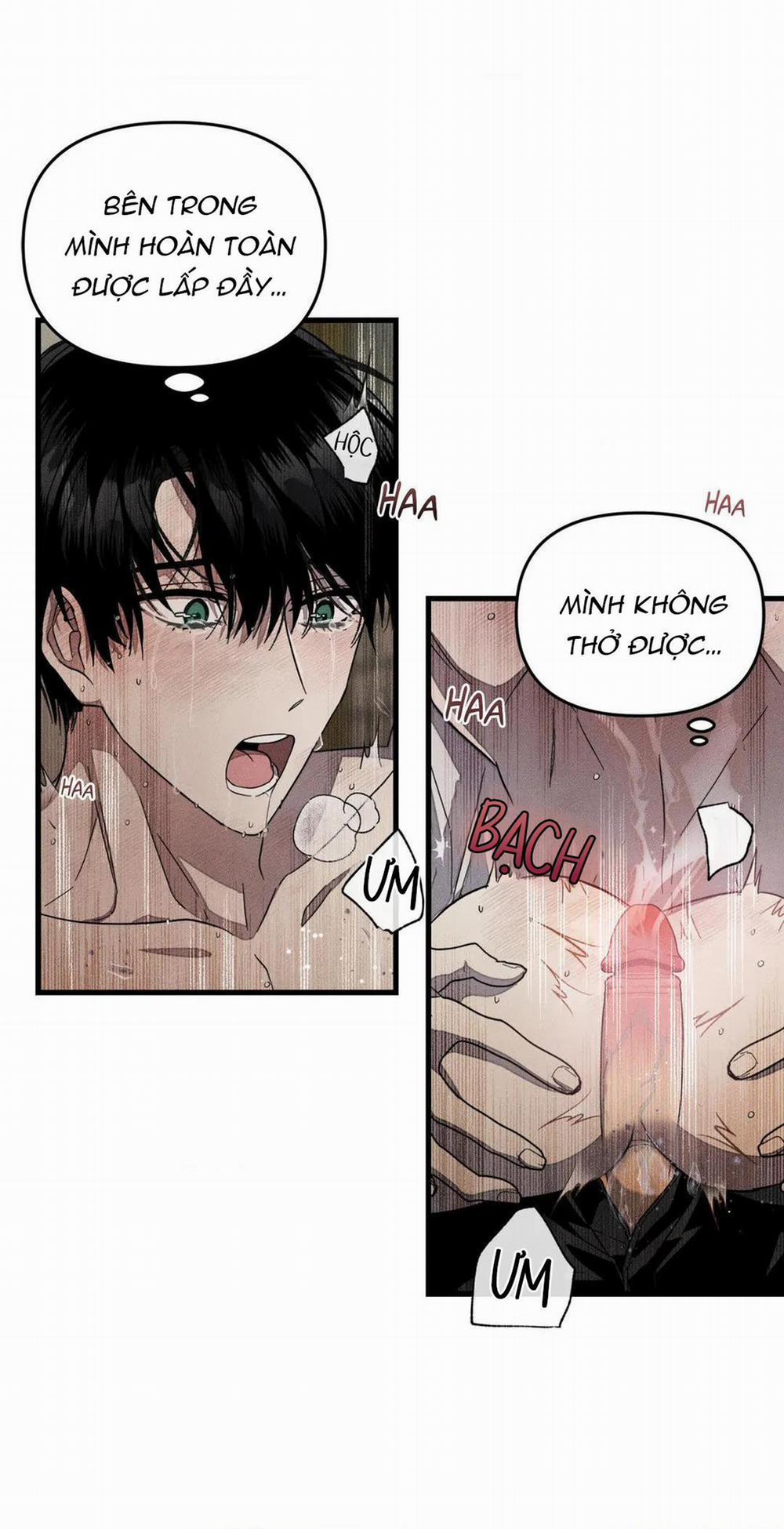 Công Lập Left Fluke 21 trang 31