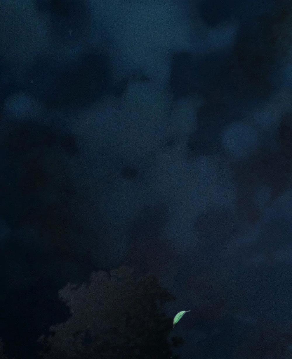 Công Lập Left Fluke 7 trang 0