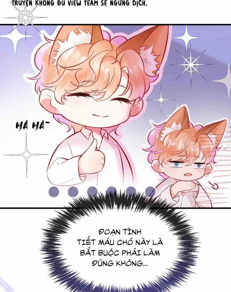 Công Lược Đối Tượng! Hình Tượng Của Cậu Sập Rồi! 4 trang 15