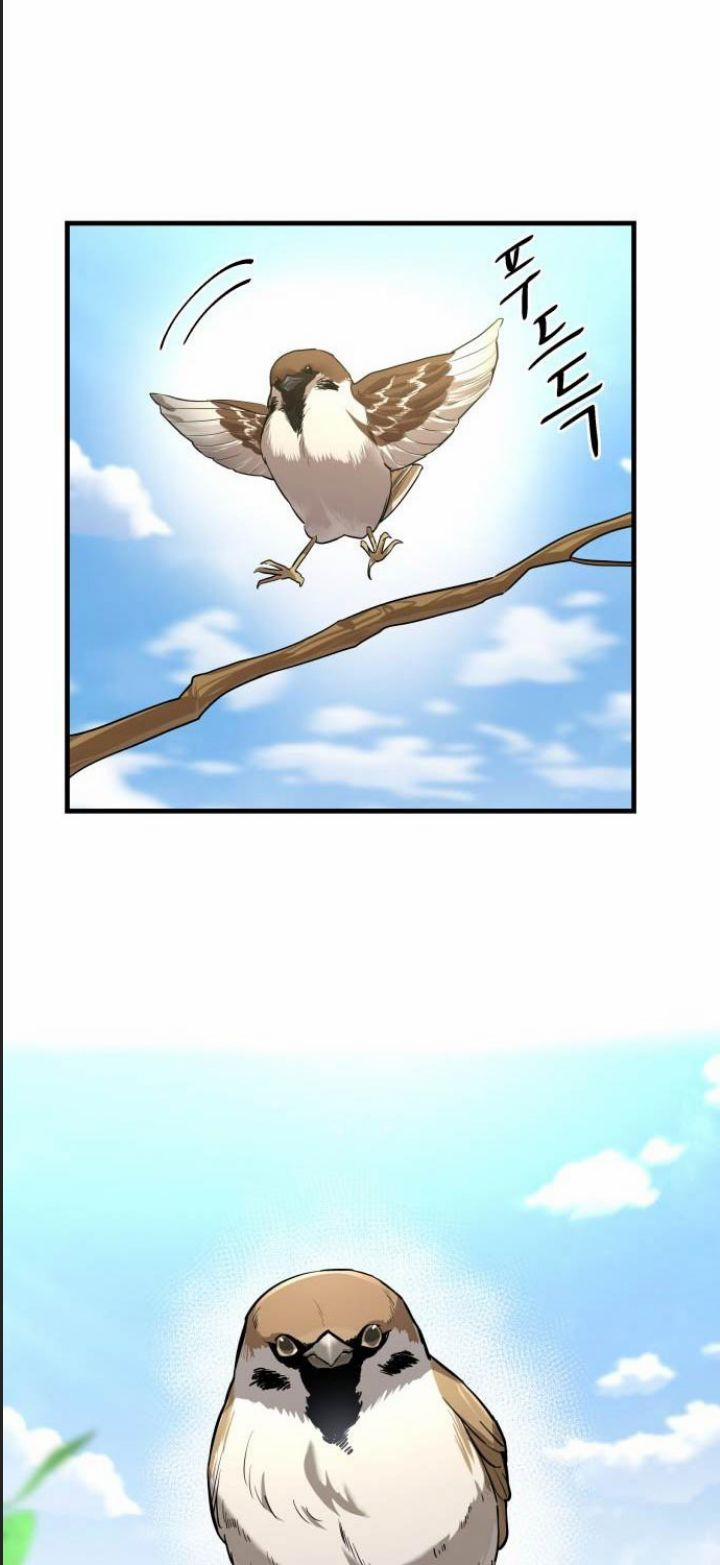 Công Năng Đặc Dị 1 trang 42