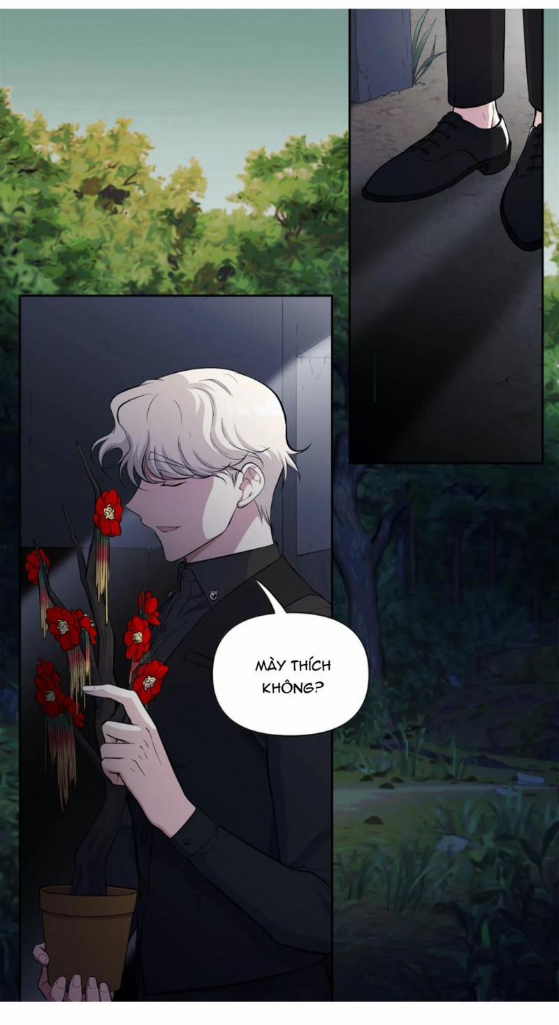 Công Thức Làm Xúc Tua 20 trang 4