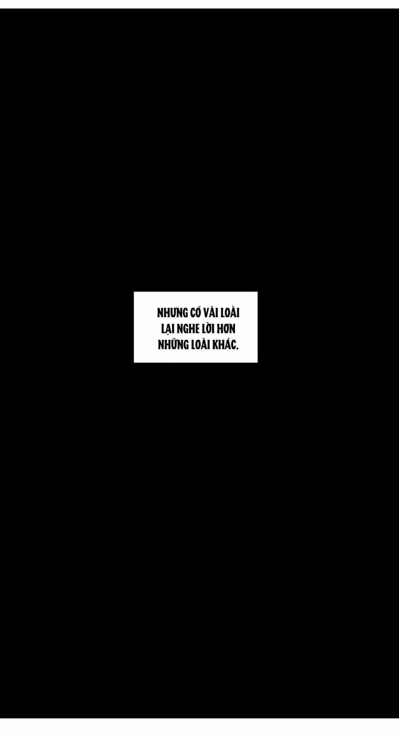 Công Thức Làm Xúc Tua 22 trang 15