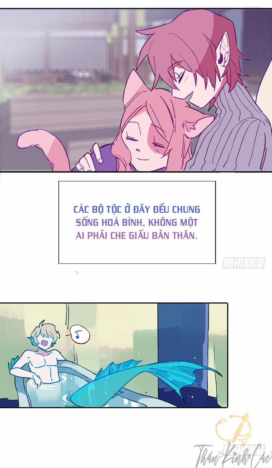 Công Thức Theo Đuổi Ngọt Ngào Của Thiên Thần 1 trang 1