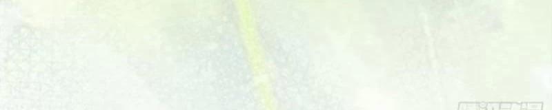 Công Tử Biệt Tú! 102 trang 56