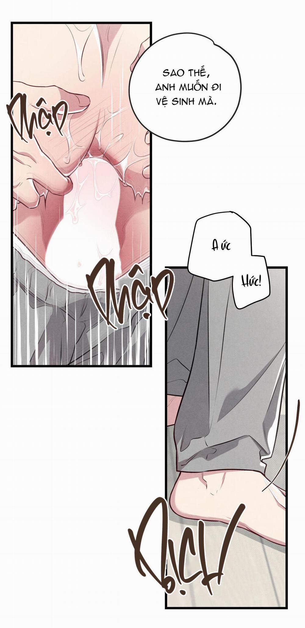 Công Tư Phân Minh 53 H+++ trang 13