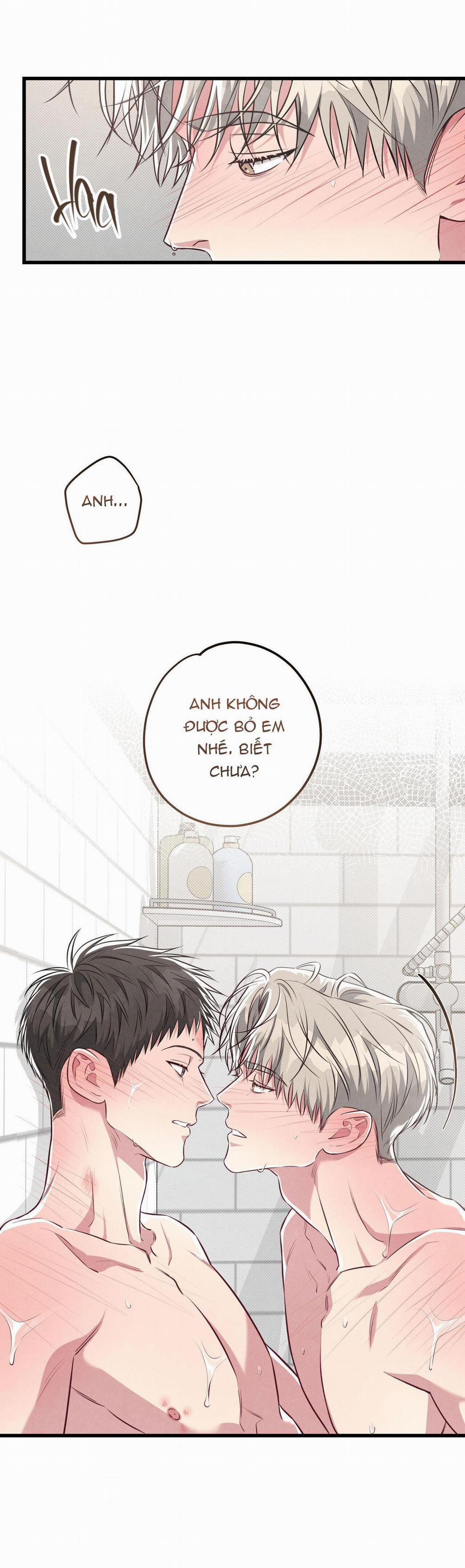 Công Tư Phân Minh 53 trang 48