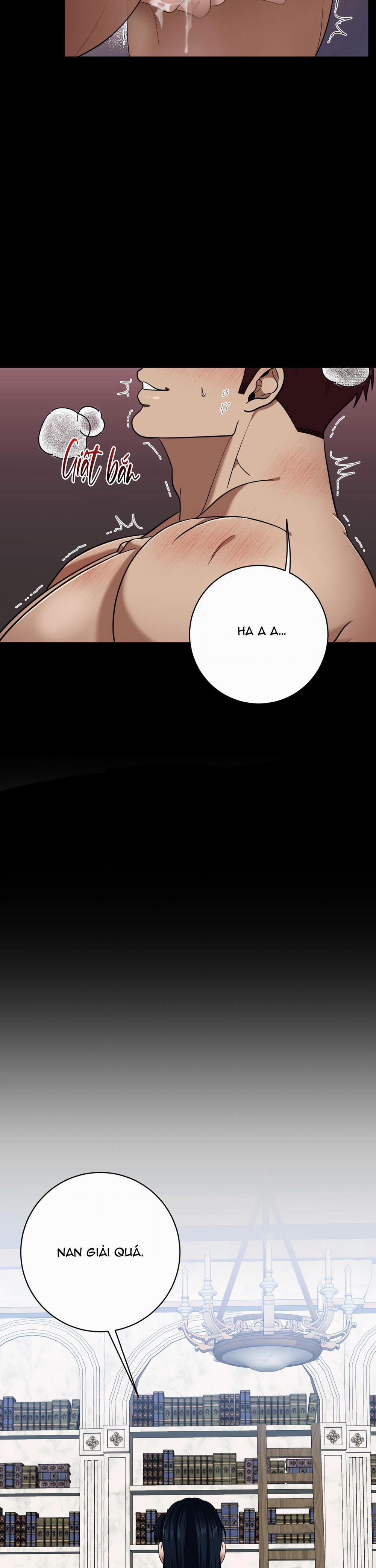 CÔNG TƯỚC MUỐN CÓ CON NỐI DÕI 19 trang 12