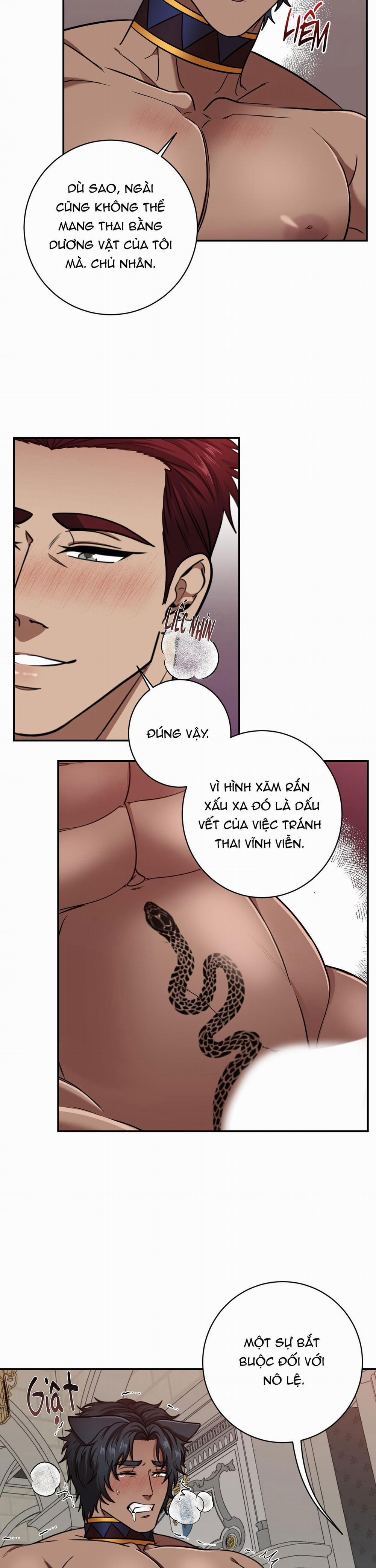 CÔNG TƯỚC MUỐN CÓ CON NỐI DÕI 4 trang 19