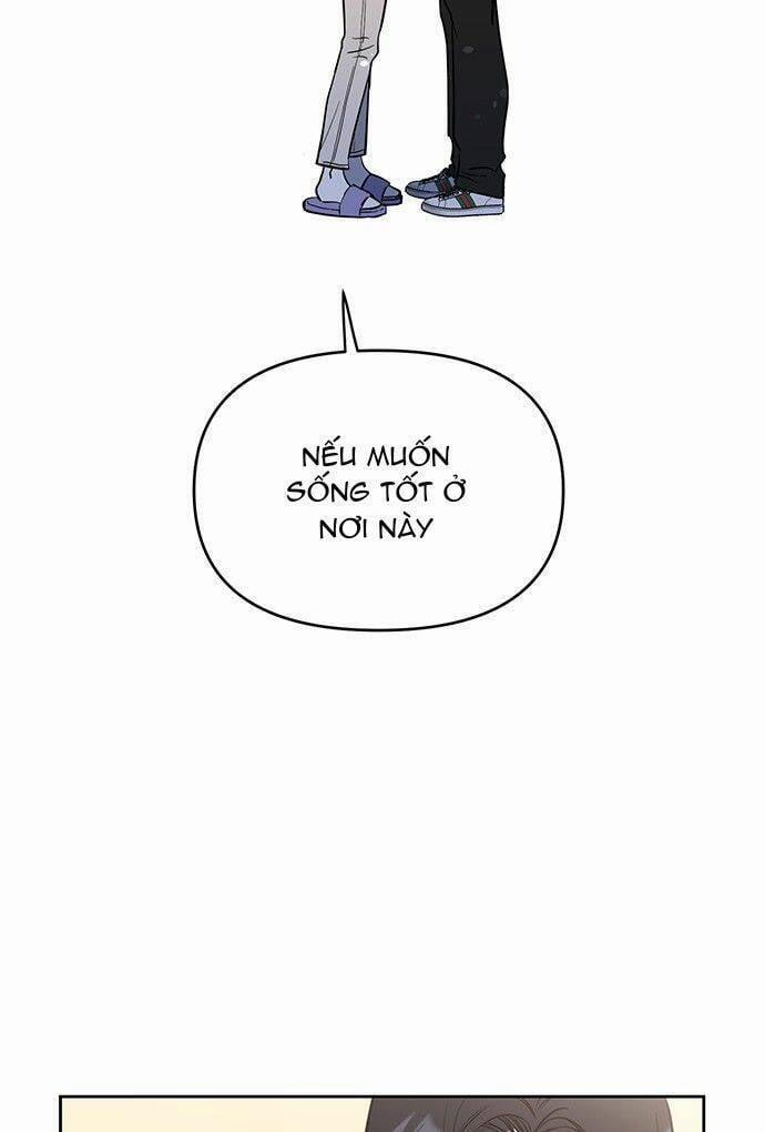 Công Việc Bất Thường 5 trang 35