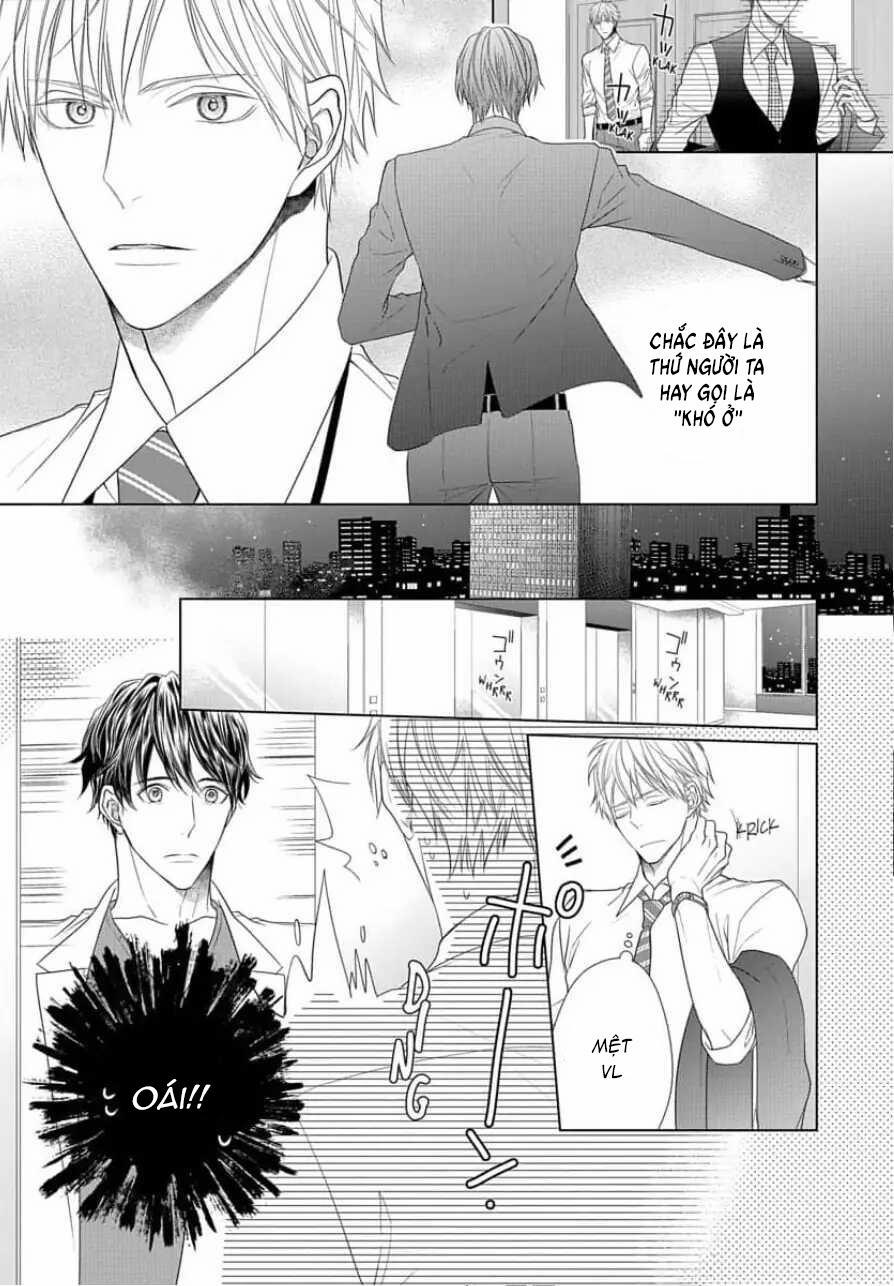 Công Việc Giường Chiếu Của Thư Ký 1 trang 15