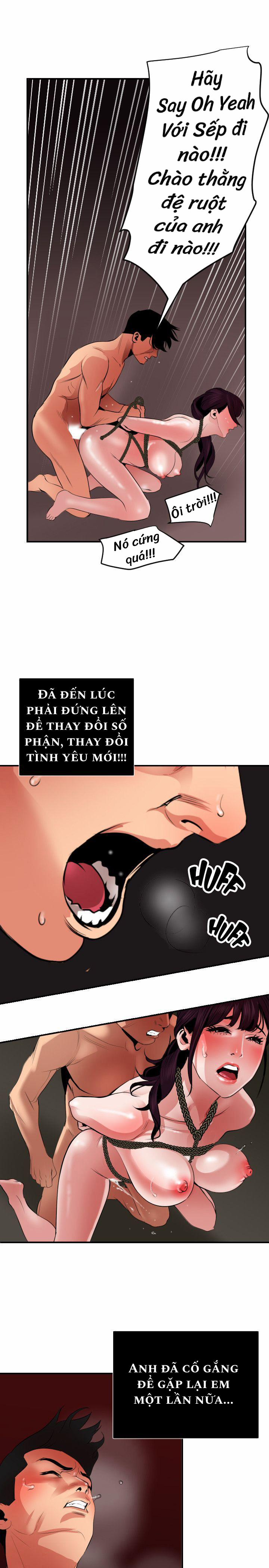 Cột Thu Lôi 50 trang 15