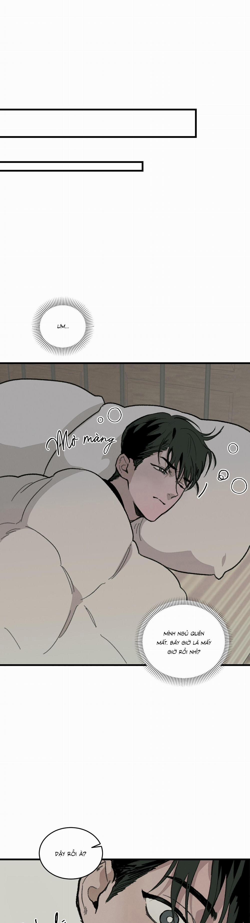 Cottage Garden 4 trang 16