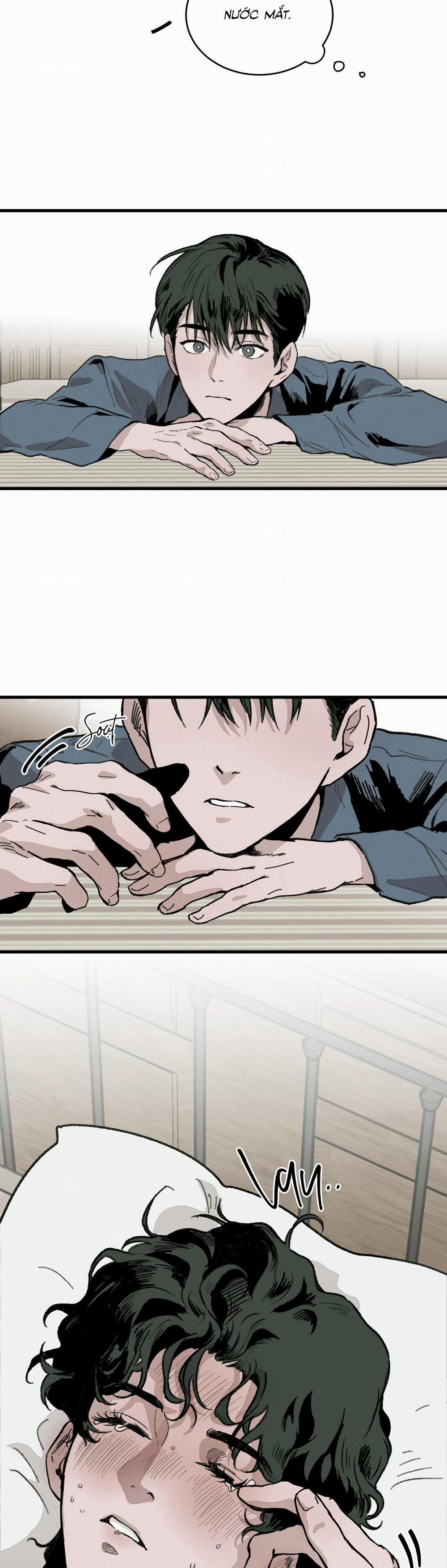 Cottage Garden 4 trang 6