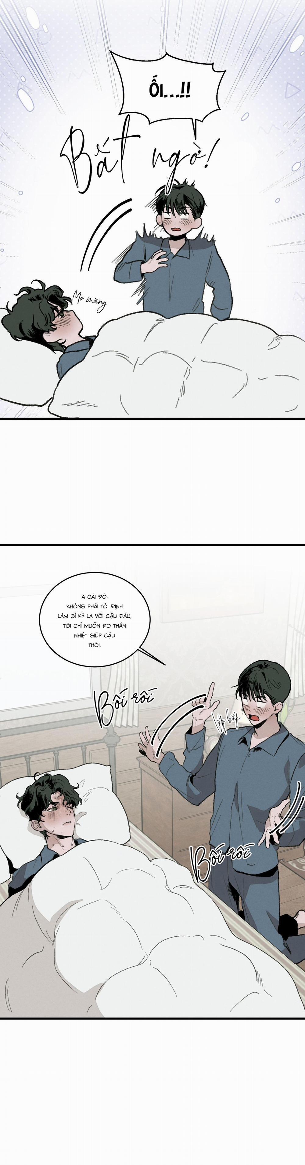 Cottage Garden 4 trang 8