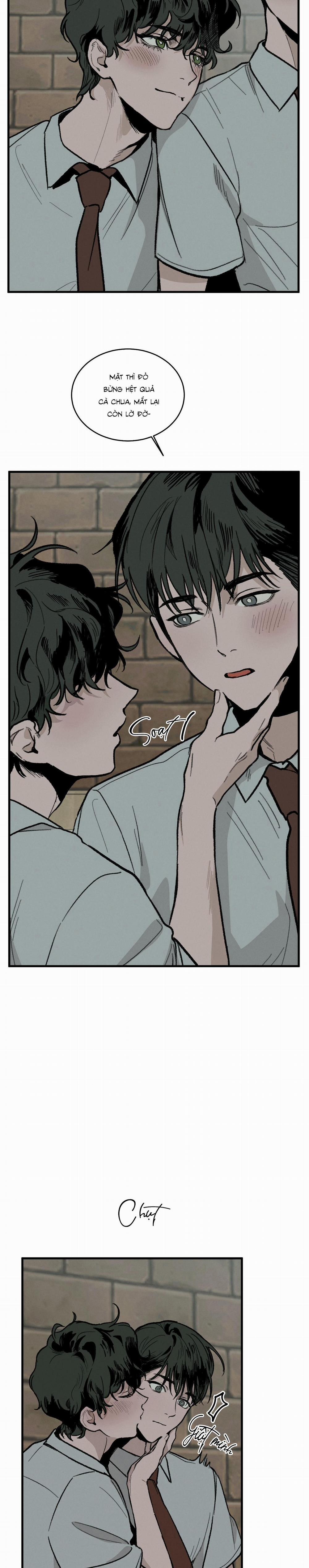 Cottage Garden 5 trang 13