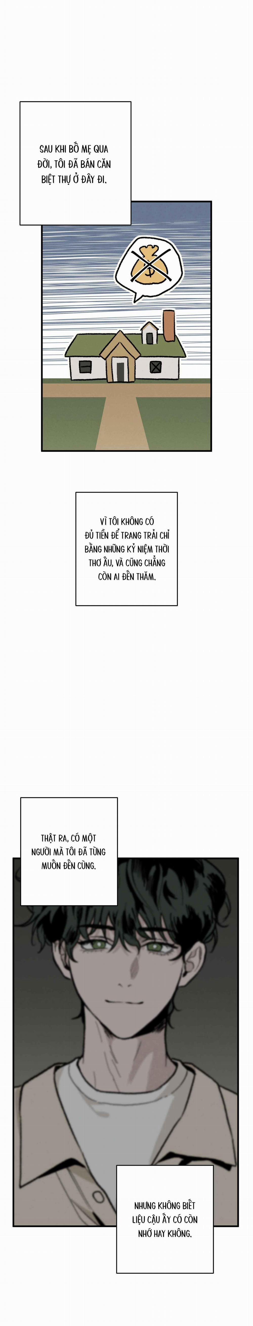 Cottage Garden 6 0 trang 2