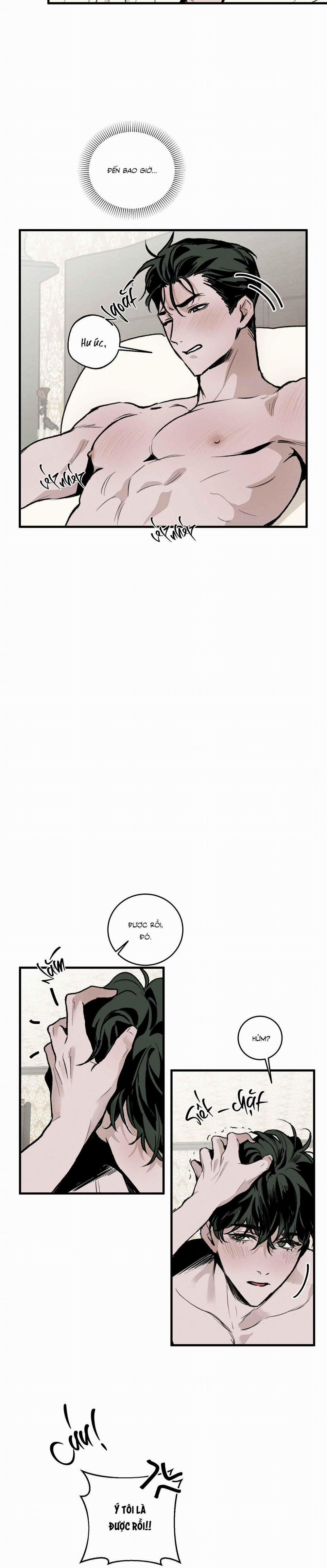 Cottage Garden 6 0 trang 23